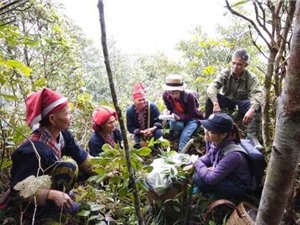 Một cánh cửa để bước ra ngoài tháp ngà học thuật